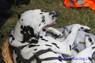 CS5 Viggiu 2012 130.jpg