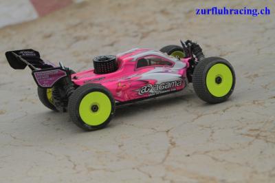 Silver Pennes 2 029.JPG