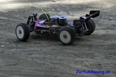 CS4 Gland 2012 012.jpg
